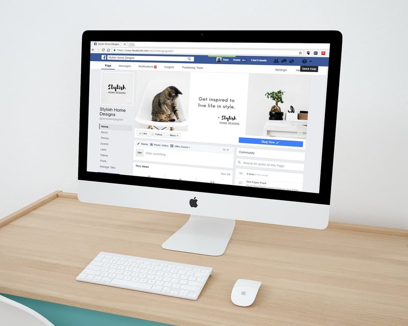 Social Media Trends